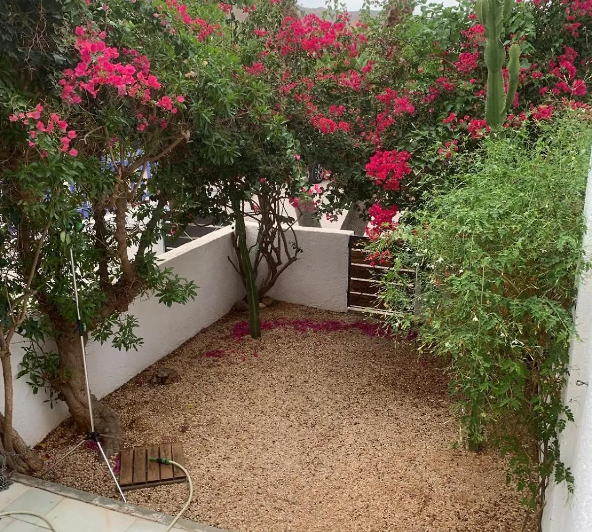 Villa Casa Gata Rodalquilar